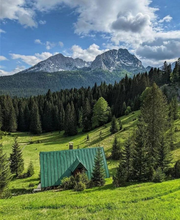 Žabljak Magic Mountainヴィラ エクステリア 写真