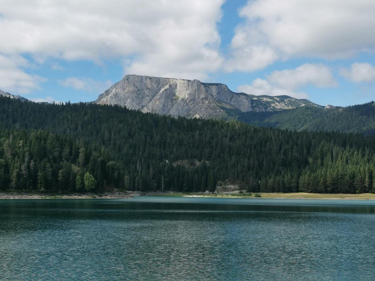 Žabljak Magic Mountainヴィラ エクステリア 写真