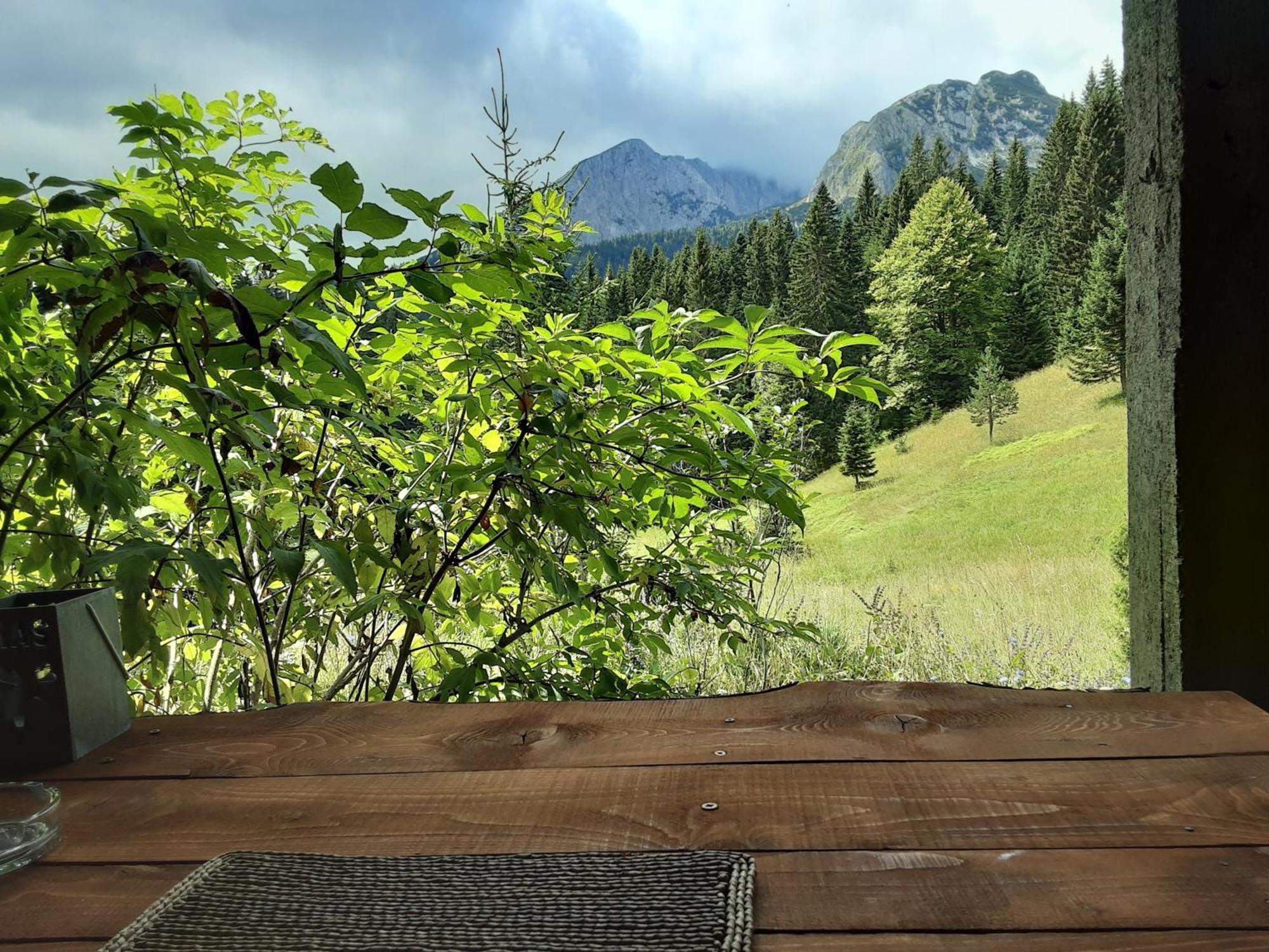 Žabljak Magic Mountainヴィラ エクステリア 写真