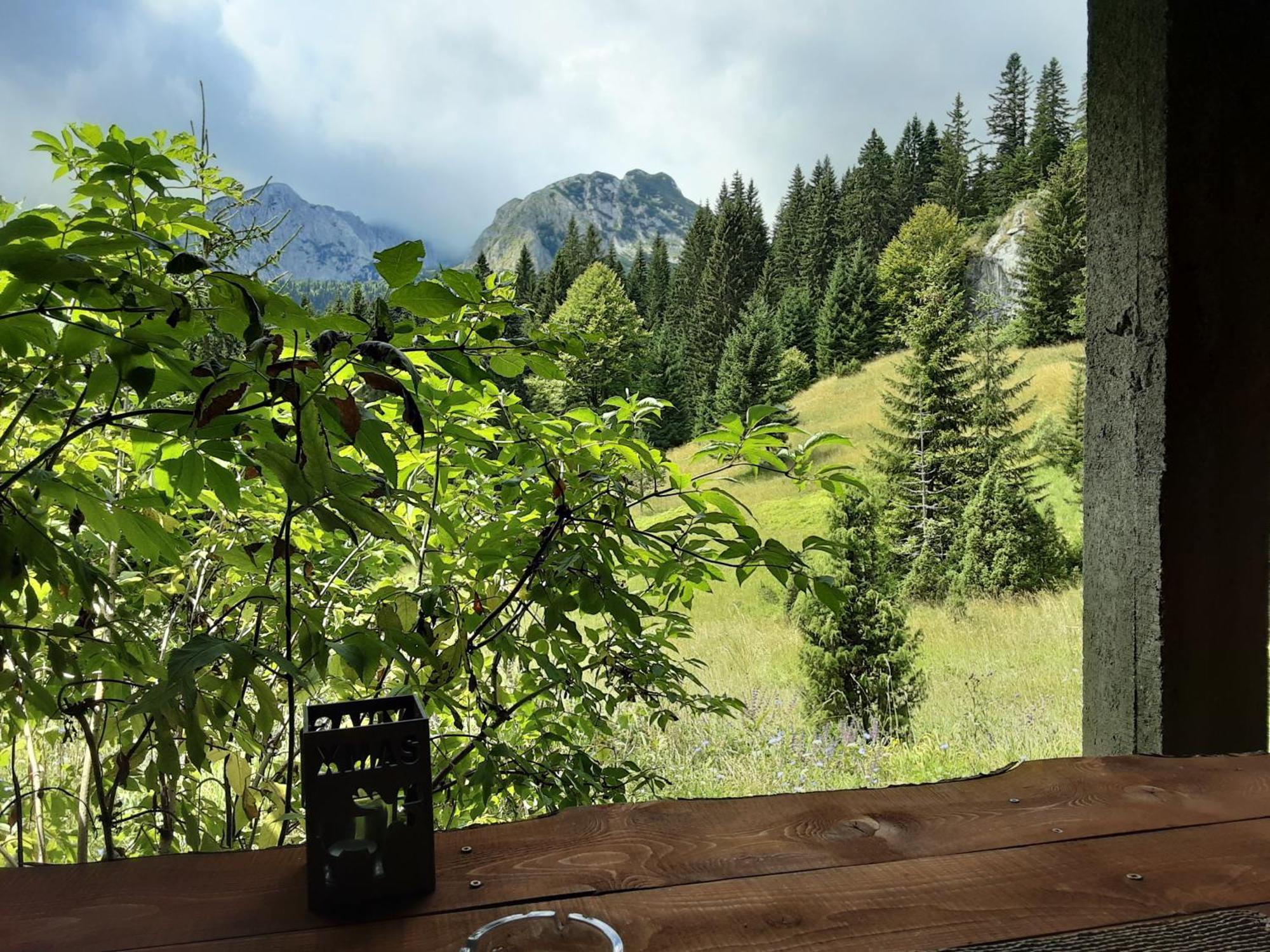Žabljak Magic Mountainヴィラ エクステリア 写真
