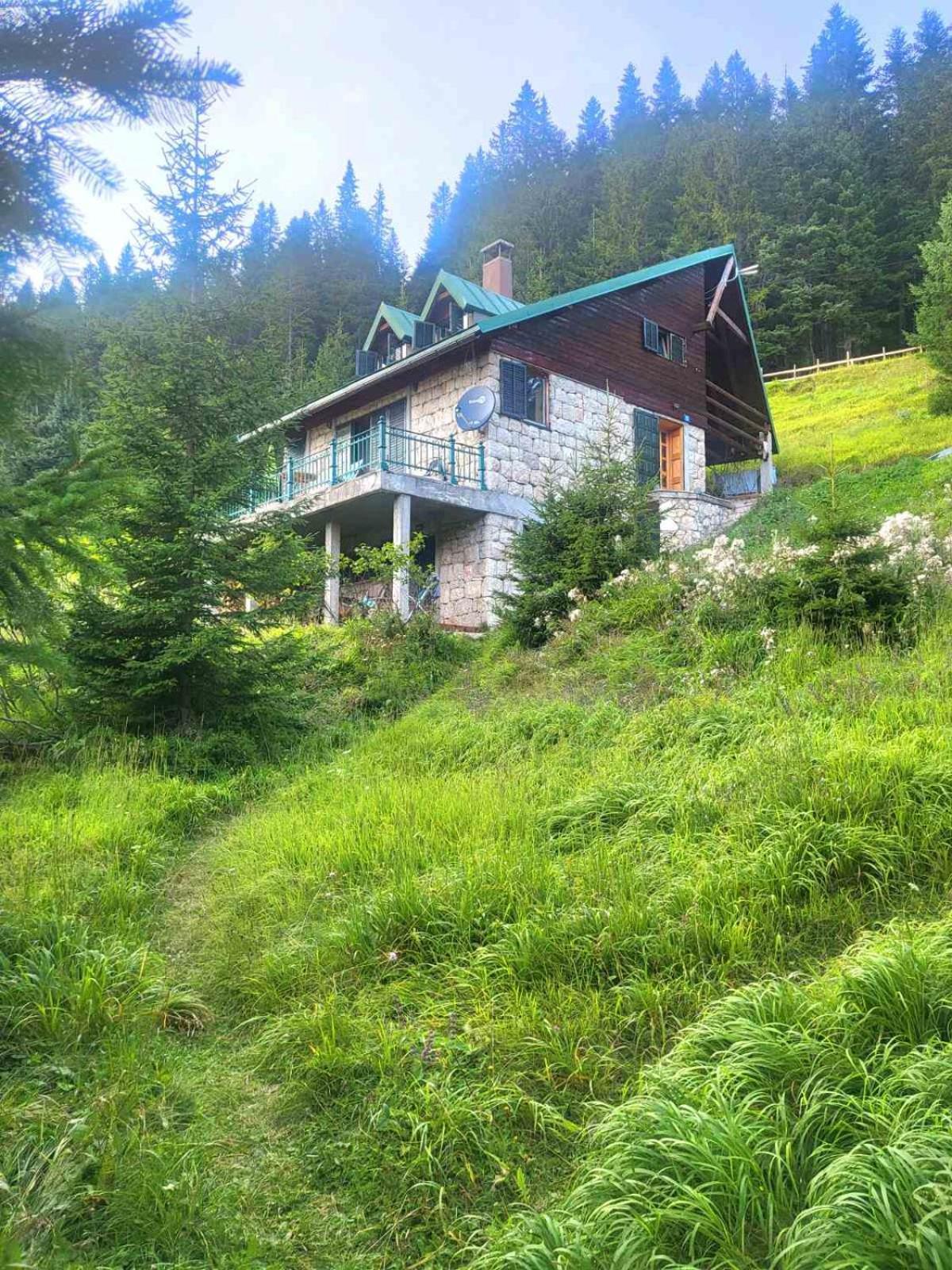 Žabljak Magic Mountainヴィラ エクステリア 写真