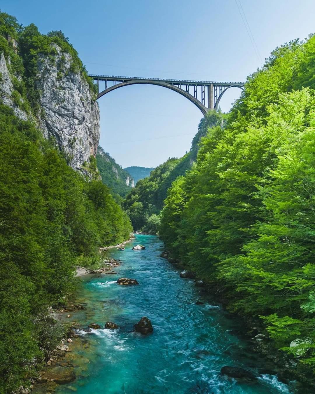 Žabljak Magic Mountainヴィラ エクステリア 写真